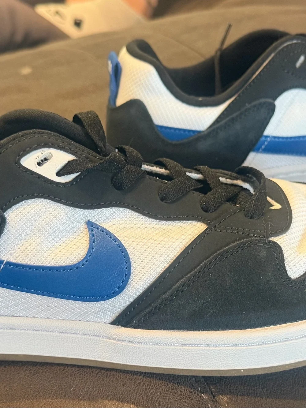 Nike classic sb